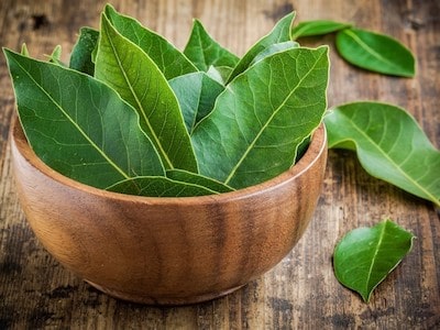 Bay leaves Bay leaves
