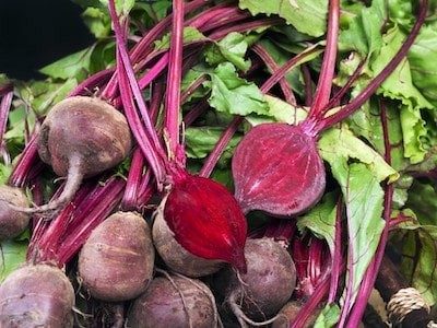 Are Beets Safe For Cats