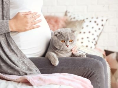 Cat with pregnant owner