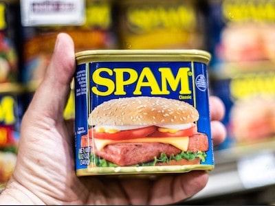 Pros and Cons of Feeding Spam to Your Cat