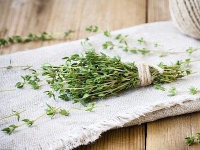 Thyme