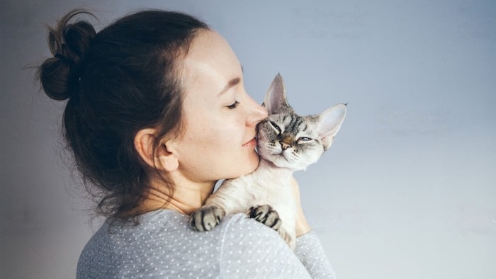 Kissing a Cat