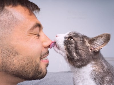 Cat Licking Nose